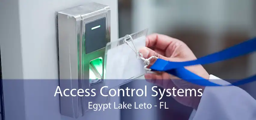 Access Control Systems Egypt Lake Leto - FL