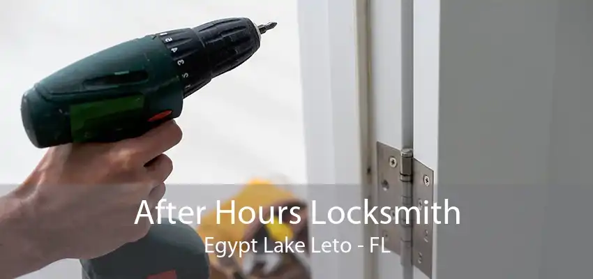 After Hours Locksmith Egypt Lake Leto - FL