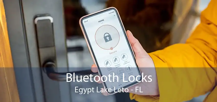 Bluetooth Locks Egypt Lake Leto - FL