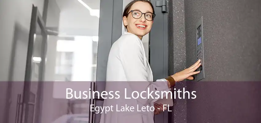 Business Locksmiths Egypt Lake Leto - FL