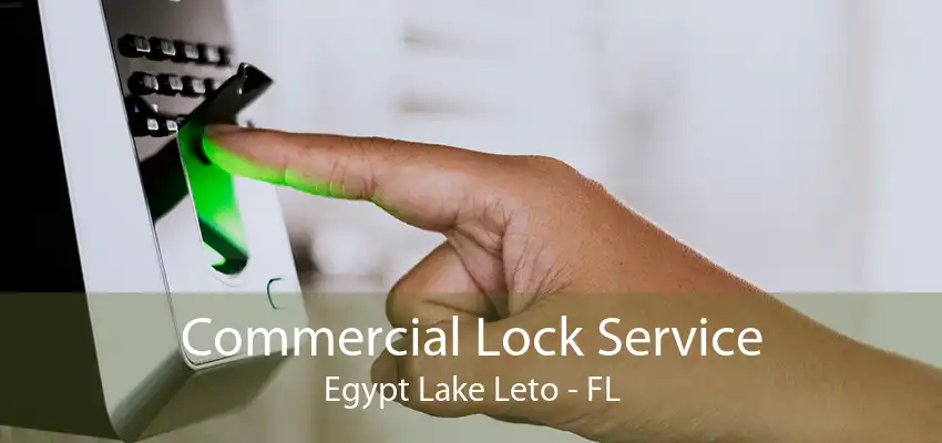 Commercial Lock Service Egypt Lake Leto - FL