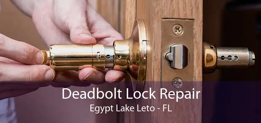 Deadbolt Lock Repair Egypt Lake Leto - FL