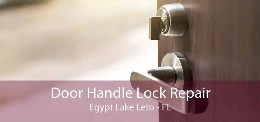 Door Handle Lock Repair Egypt Lake Leto - FL