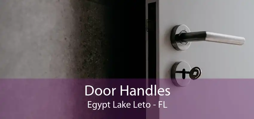 Door Handles Egypt Lake Leto - FL