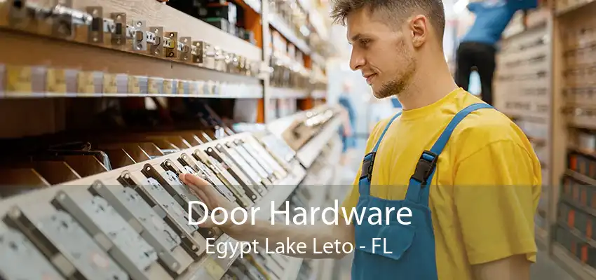 Door Hardware Egypt Lake Leto - FL