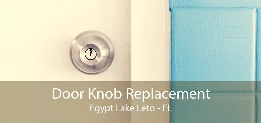 Door Knob Replacement Egypt Lake Leto - FL