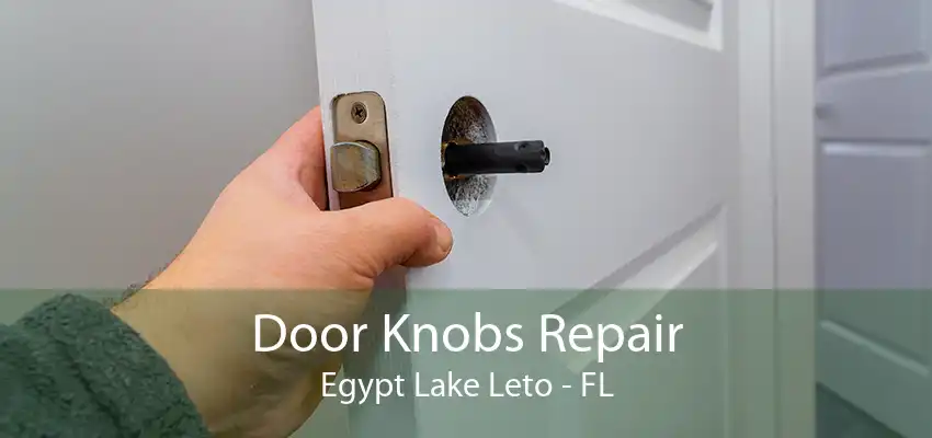 Door Knobs Repair Egypt Lake Leto - FL