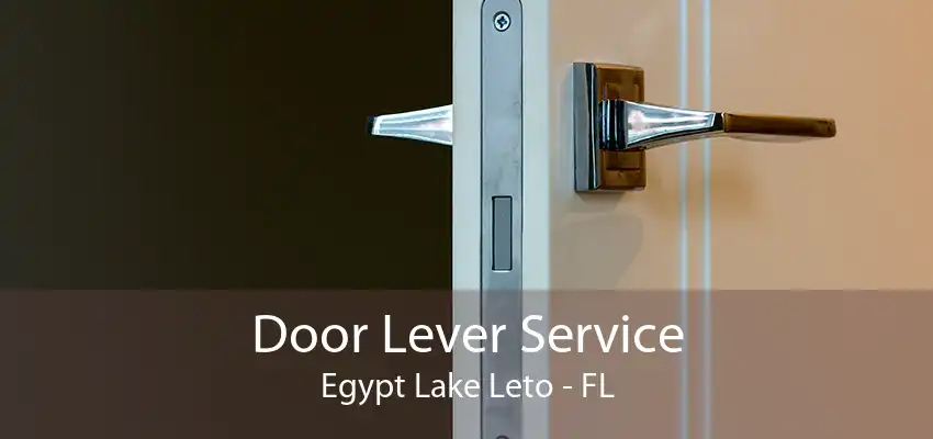 Door Lever Service Egypt Lake Leto - FL