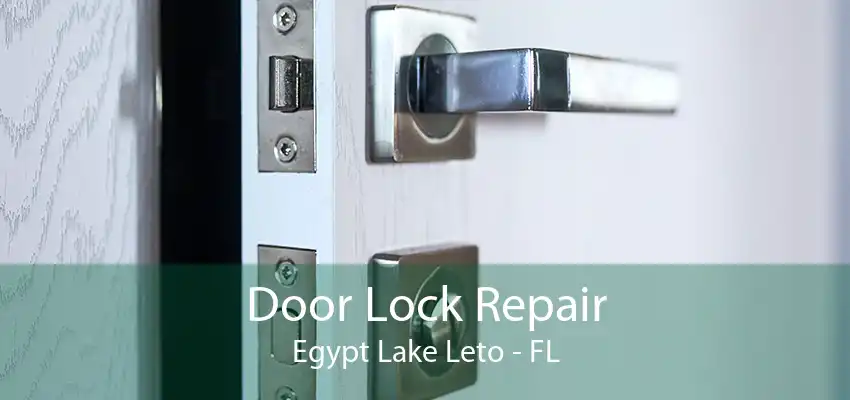 Door Lock Repair Egypt Lake Leto - FL