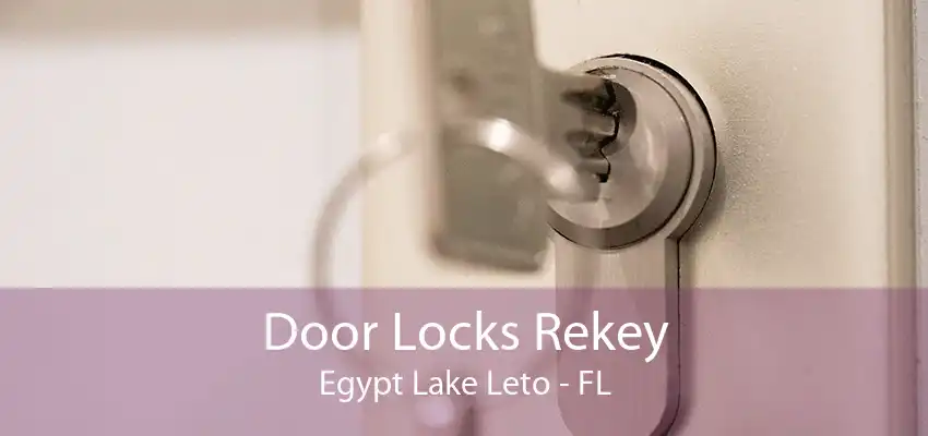 Door Locks Rekey Egypt Lake Leto - FL