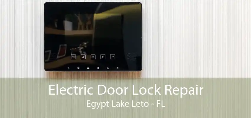 Electric Door Lock Repair Egypt Lake Leto - FL