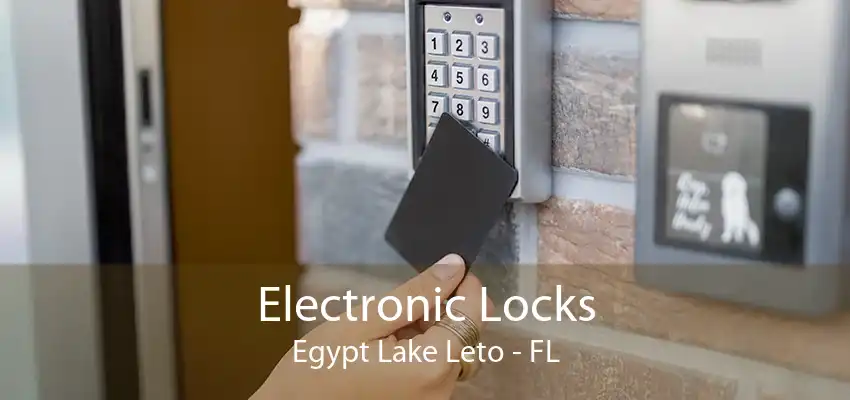 Electronic Locks Egypt Lake Leto - FL