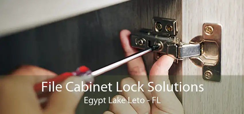 File Cabinet Lock Solutions Egypt Lake Leto - FL