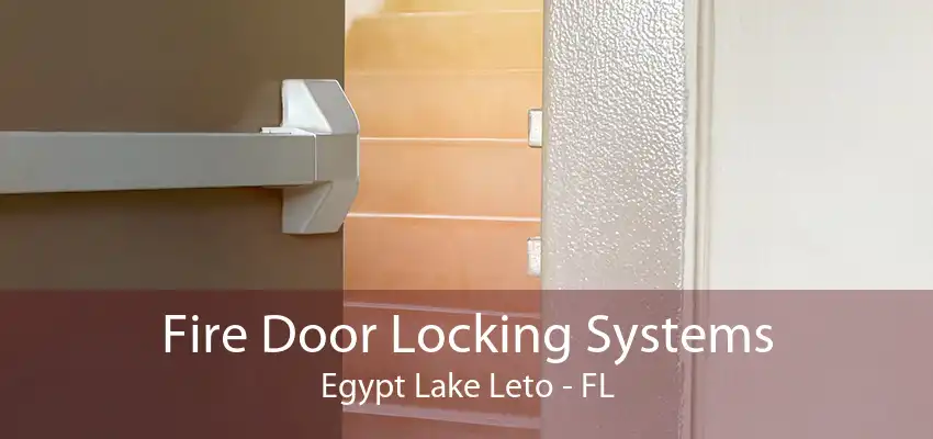 Fire Door Locking Systems Egypt Lake Leto - FL