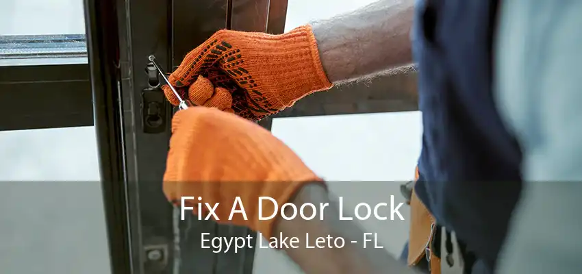 Fix A Door Lock Egypt Lake Leto - FL