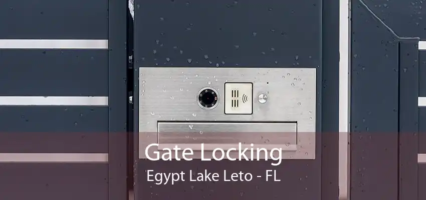 Gate Locking Egypt Lake Leto - FL