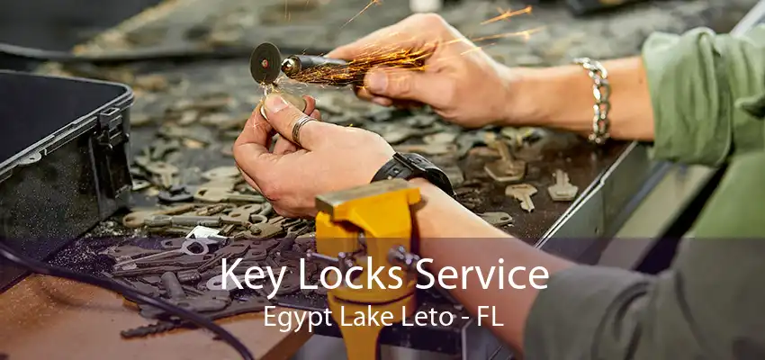 Key Locks Service Egypt Lake Leto - FL