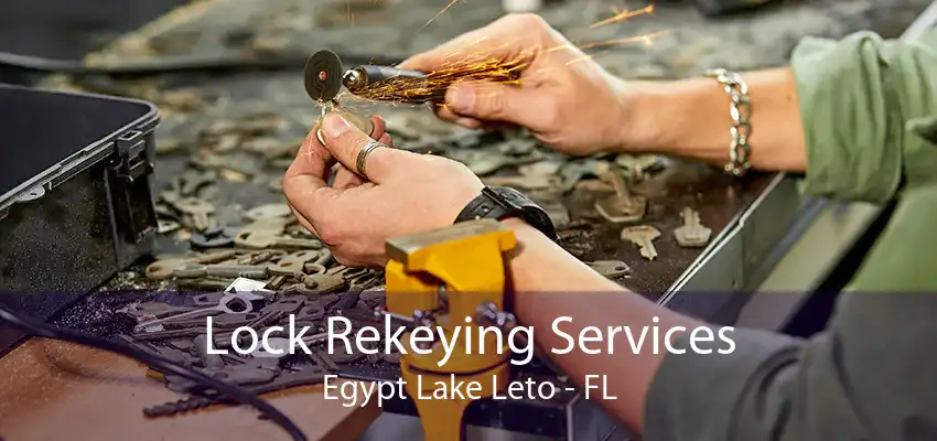 Lock Rekeying Services Egypt Lake Leto - FL