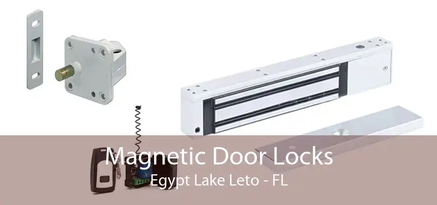 Magnetic Door Locks Egypt Lake Leto - FL