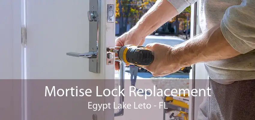 Mortise Lock Replacement Egypt Lake Leto - FL