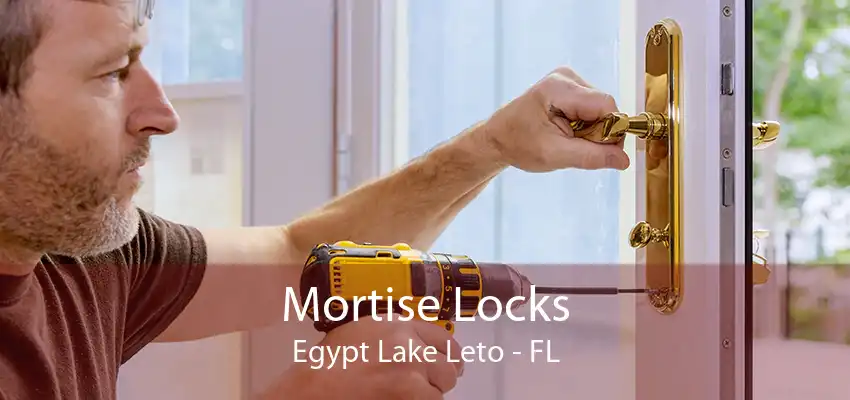 Mortise Locks Egypt Lake Leto - FL