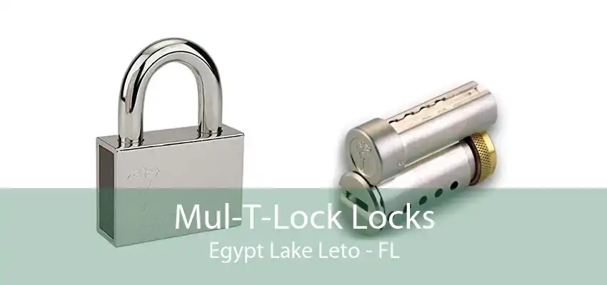 Mul-T-Lock Locks Egypt Lake Leto - FL