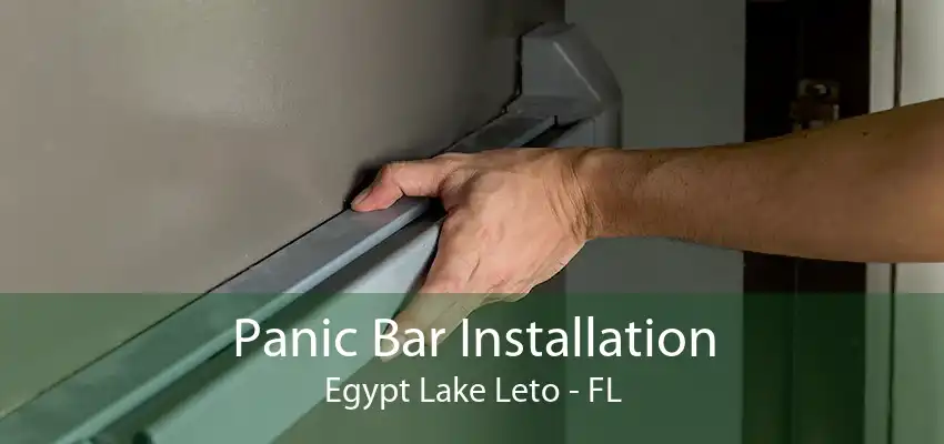 Panic Bar Installation Egypt Lake Leto - FL