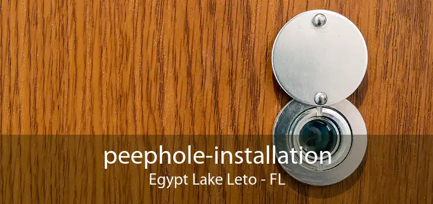 peephole-installation Egypt Lake Leto - FL