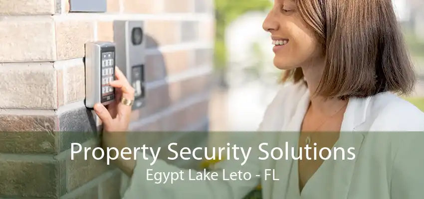 Property Security Solutions Egypt Lake Leto - FL