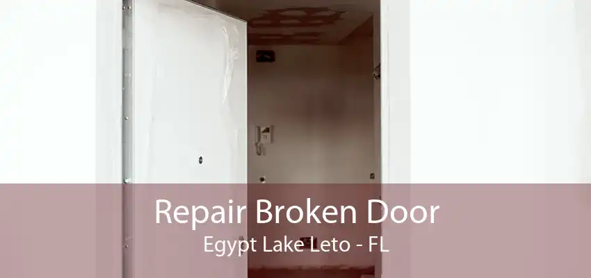 Repair Broken Door Egypt Lake Leto - FL