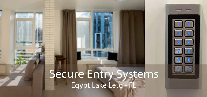 Secure Entry Systems Egypt Lake Leto - FL