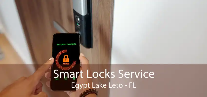 Smart Locks Service Egypt Lake Leto - FL