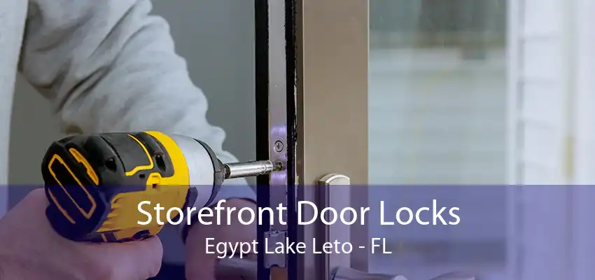 Storefront Door Locks Egypt Lake Leto - FL