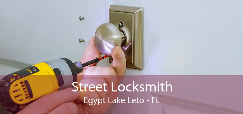 Street Locksmith Egypt Lake Leto - FL